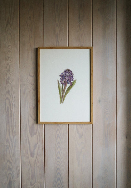 Blue hyacinth ART PRINT/wall decor