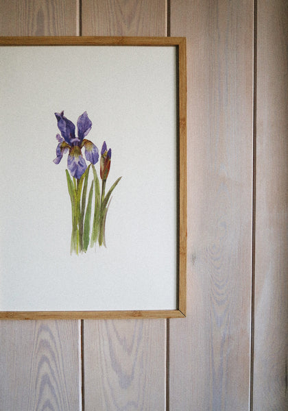 Blue iris ART PRINT/wall decor