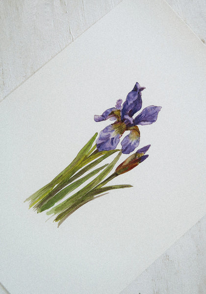 Blue iris ART PRINT/wall decor