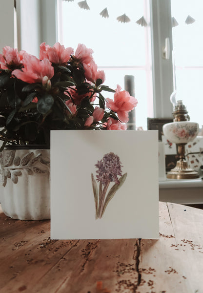 Blue hyacinth, folded card