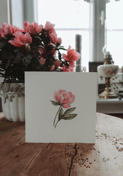 Pink peony, folded card