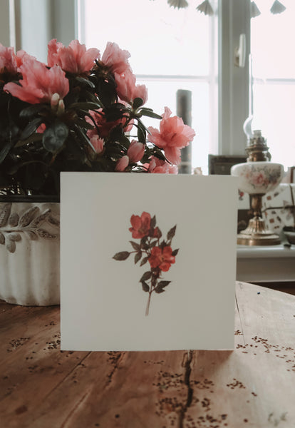 Red roses, folded card