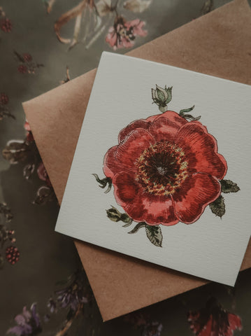 Scarlet red rose small flat card