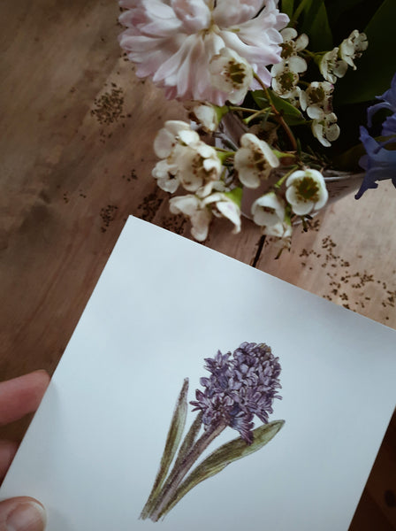 Blue hyacinth, folded card