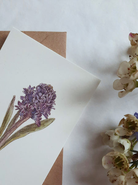 Blue hyacinth card, small flat card