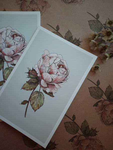 Romantic vintage rose card, folded card