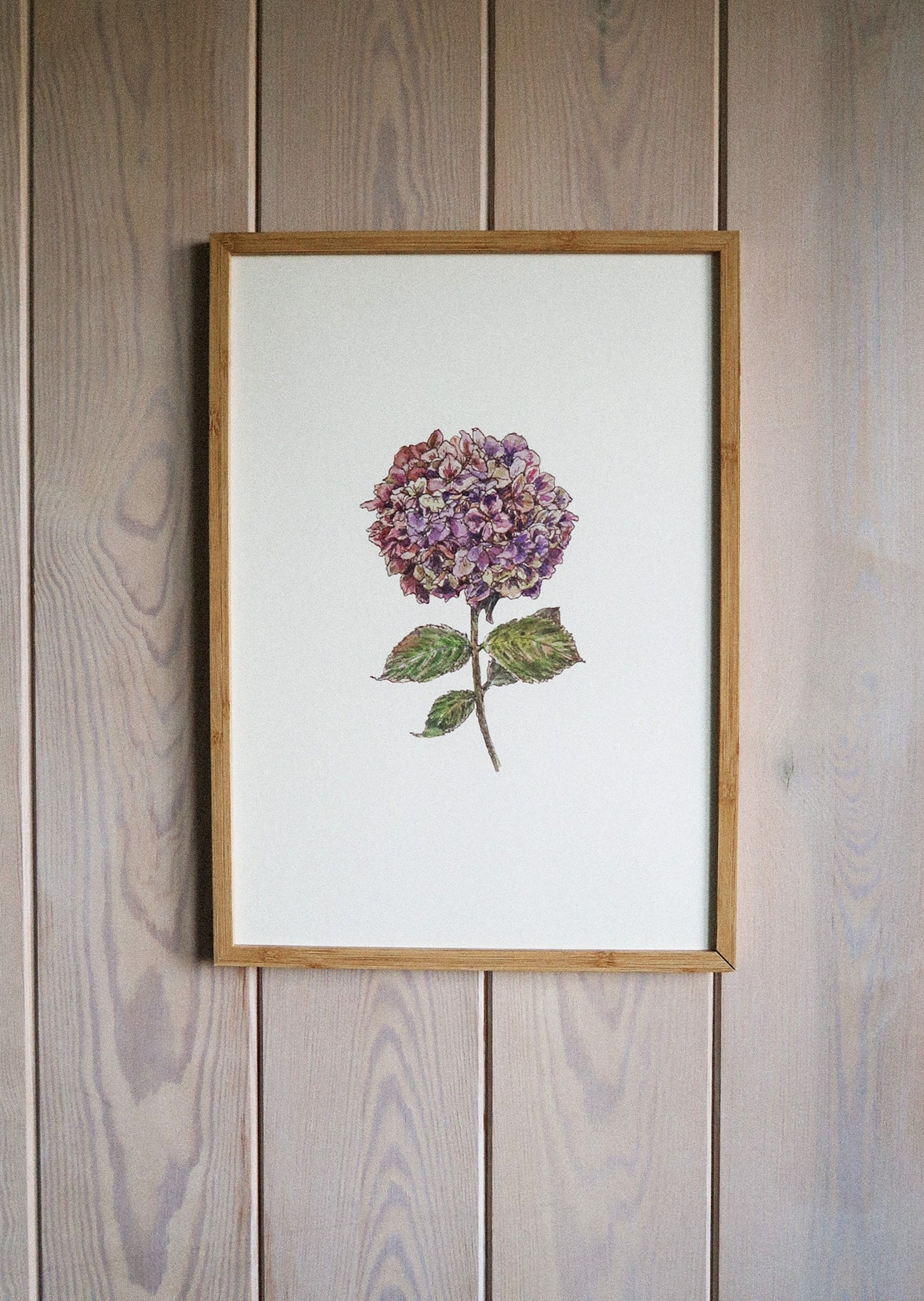 Purple hydrangea ART PRINT/wall decor