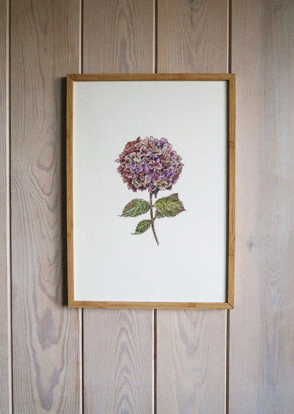 Purple hydrangea ART PRINT/wall decor