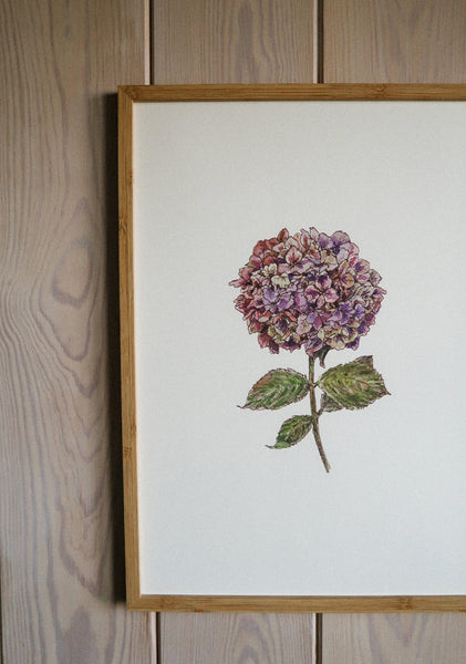 Purple hydrangea ART PRINT/wall decor