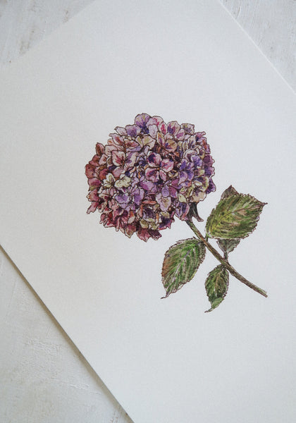 Purple hydrangea ART PRINT/wall decor