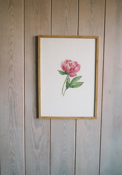 Pink peony ART PRINT/wall decor