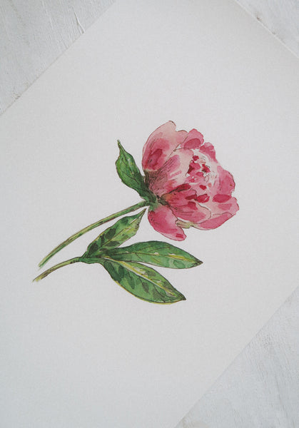 Pink peony ART PRINT/wall decor