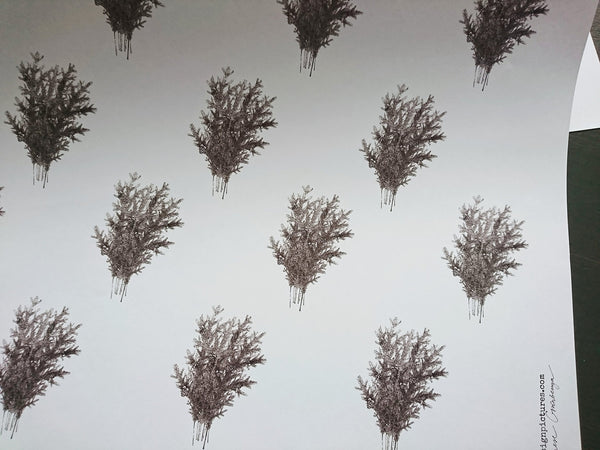 SET OF 3 pieces Spruce branches white wrapping paper