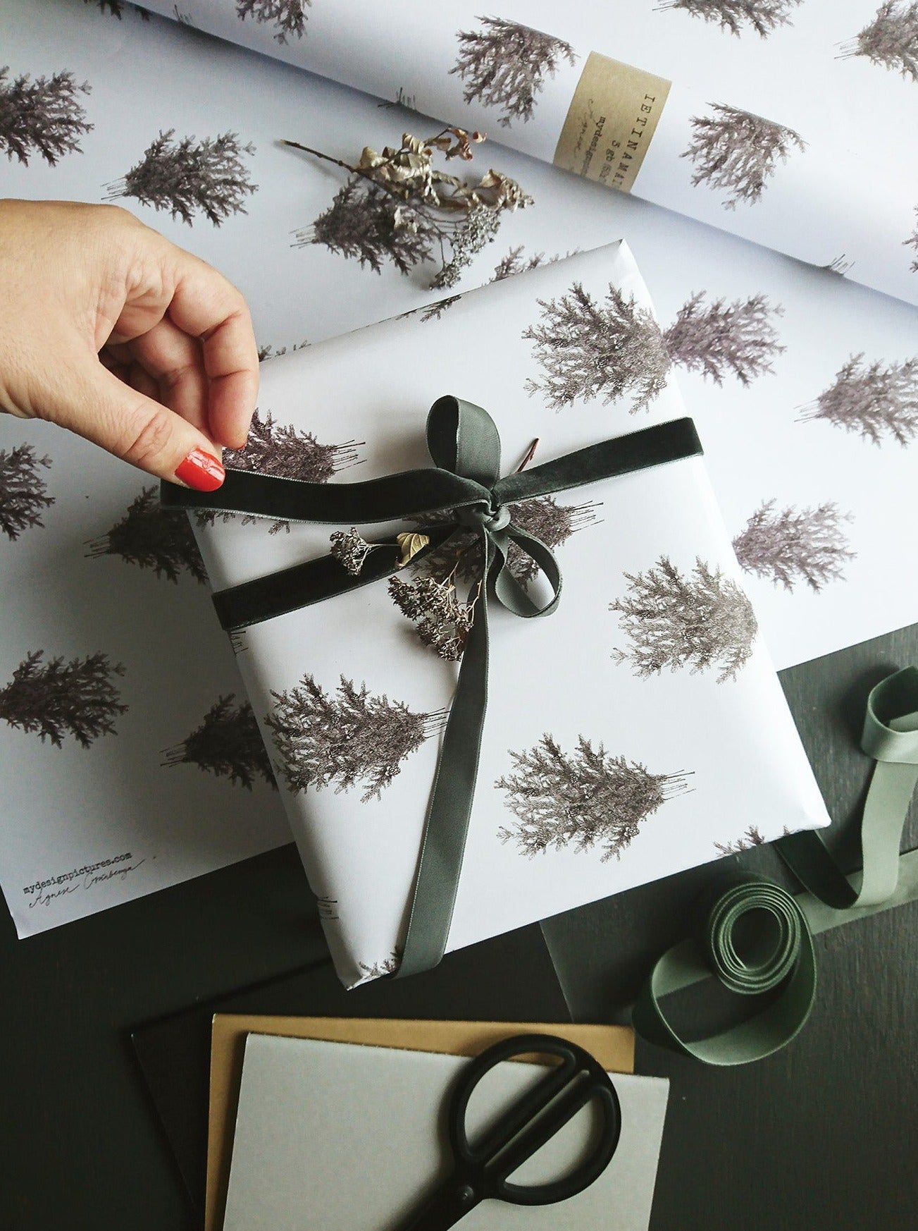 Spruce branches white wrapping paper