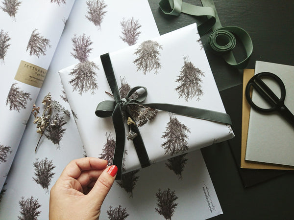 SET OF 3 pieces Spruce branches white wrapping paper